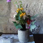 La Capanna Della Dudda *