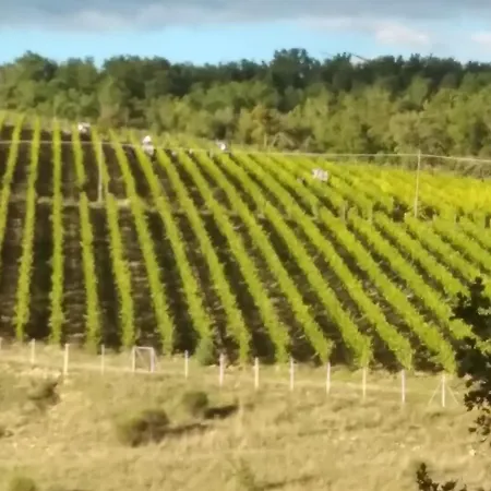 La Capanna Della Dudda Gaiole in Chianti