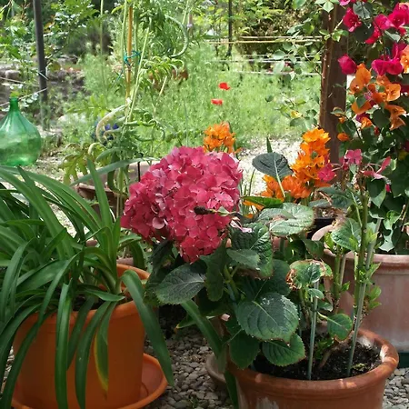 La Capanna Della Dudda Holiday home